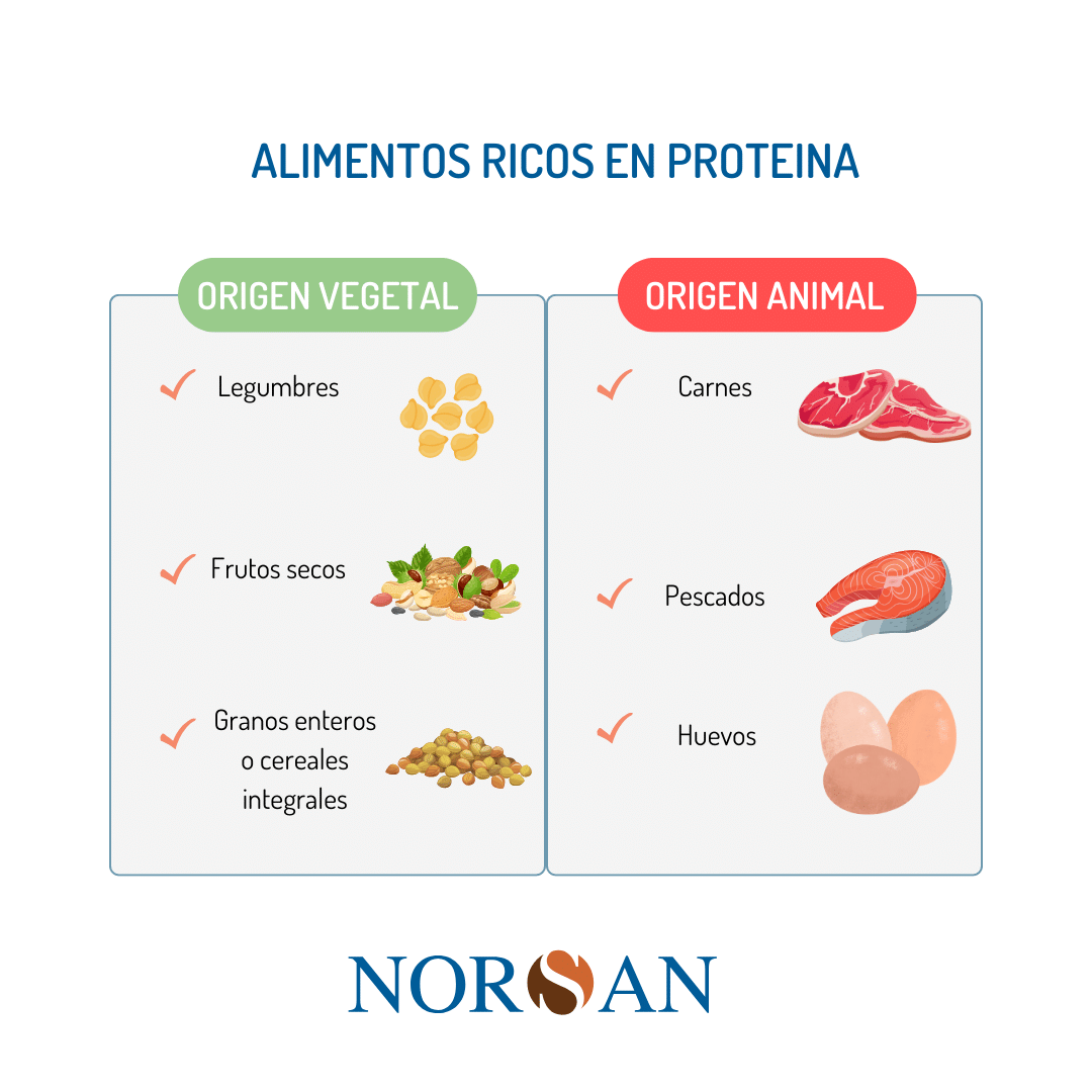 alimentos altos en proteínas